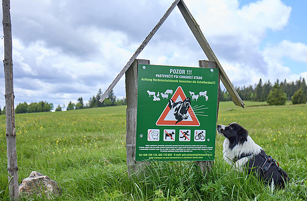 Referendum o výstavbě na Ryžovně je platné, soud zamítl kasační stížnost