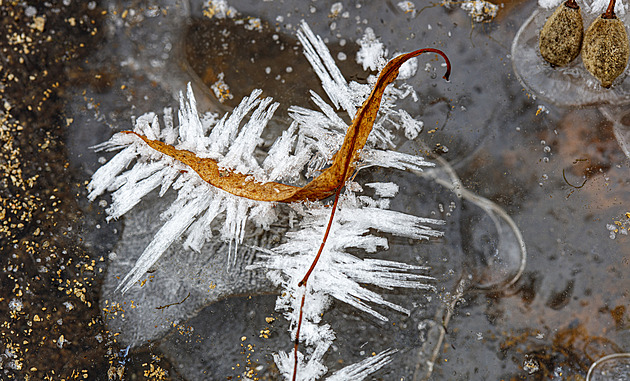 OBRAZEM: Mráz čaruje i na jihu Moravy. Stačí jen vědět, kam za krásou vyrazit
