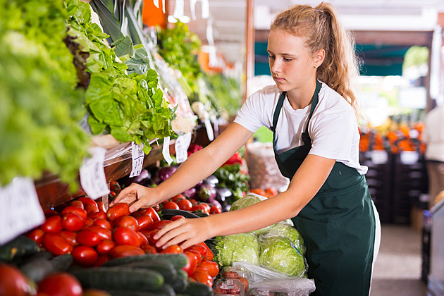 Po přednášce na brigádu. Čeští studenti se do práce nehrnou, ukázal průzkum