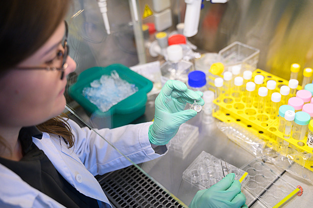 Vědci vyvíjejí model lidského tenkého střeva, může nahradit pokusy na zvířatech