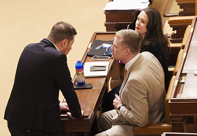 Senát se distancoval od urážlivých výroků Okamury i od slov Turka v Kyjevě