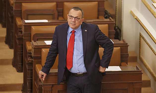 Foldyna chtěl zkoumat svéprávnost šéfa Pirátů Hřiba, toho ale podrželo ANO