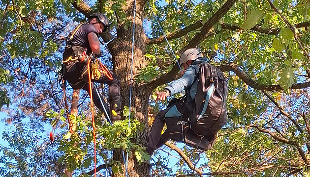 Paraglidista uvázl na stromě, z patnáctimetrové výšky ho sundávali hasiči