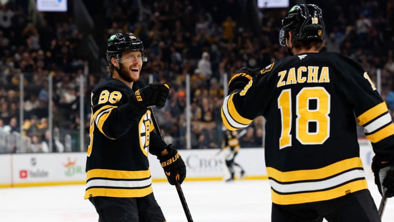 KOMENTÁŘ: Alarmující čísla Čechů v NHL aneb Co všechno vodnes’ čas